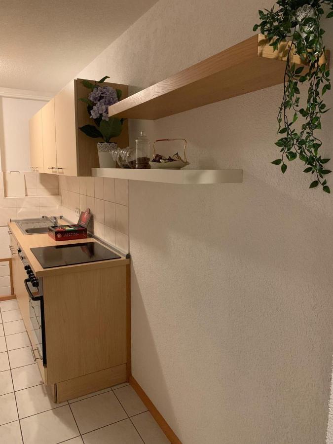 Holiday Home Nahe Europapark Лар Экстерьер фото